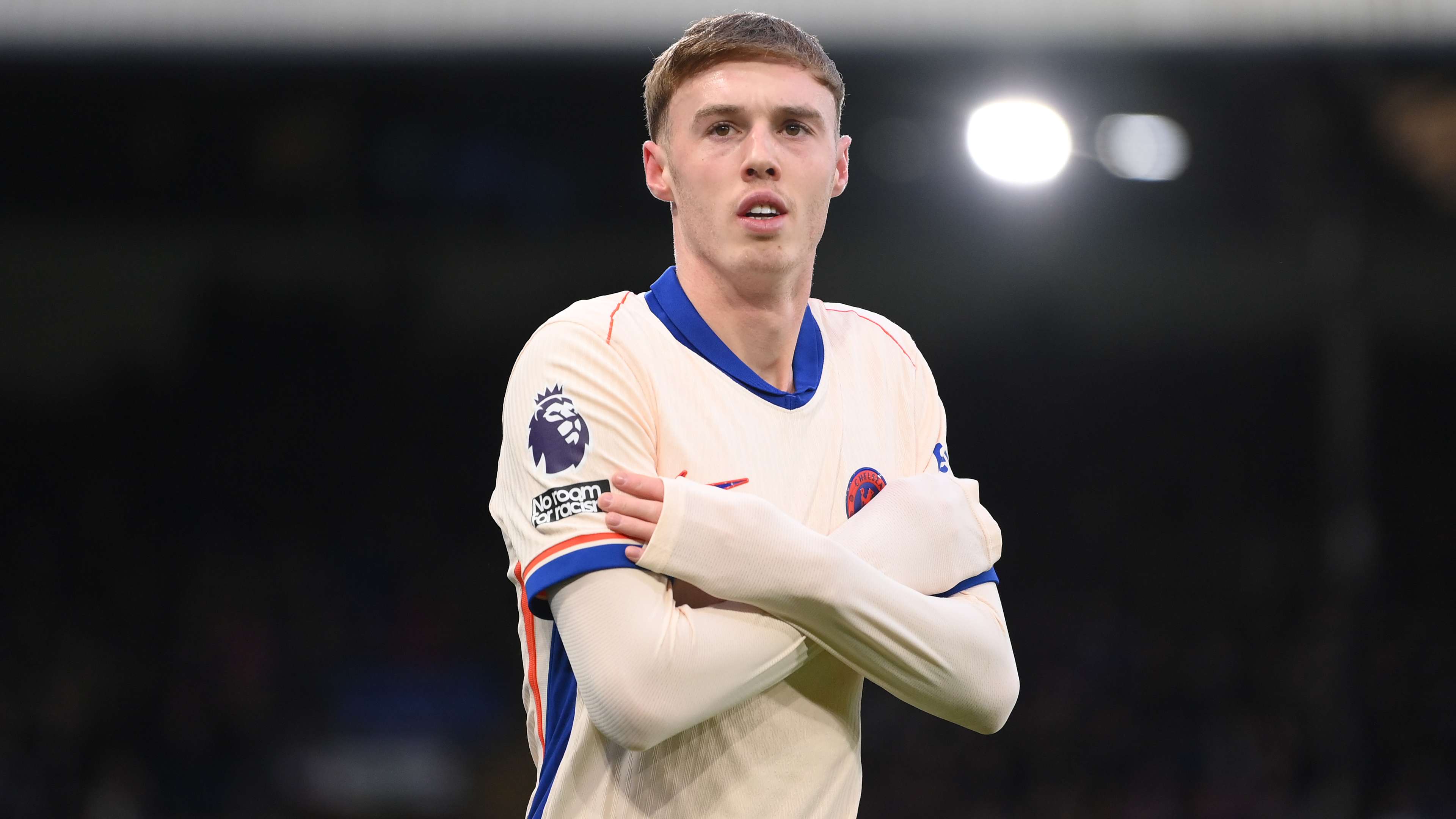 肉和韌帶長 肉和韌帶長