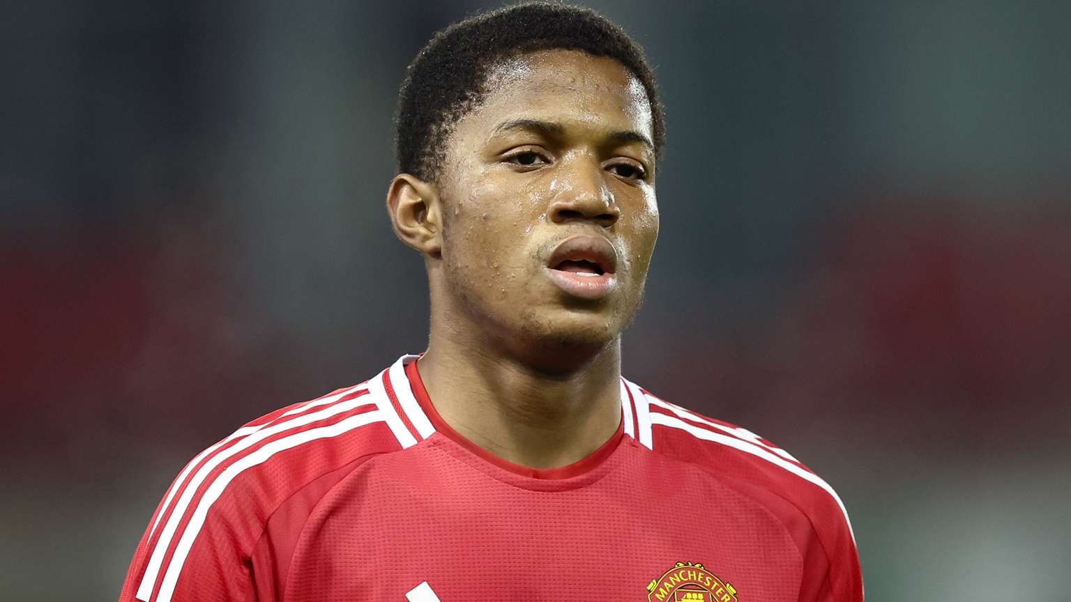 最大的区别 最大的区别